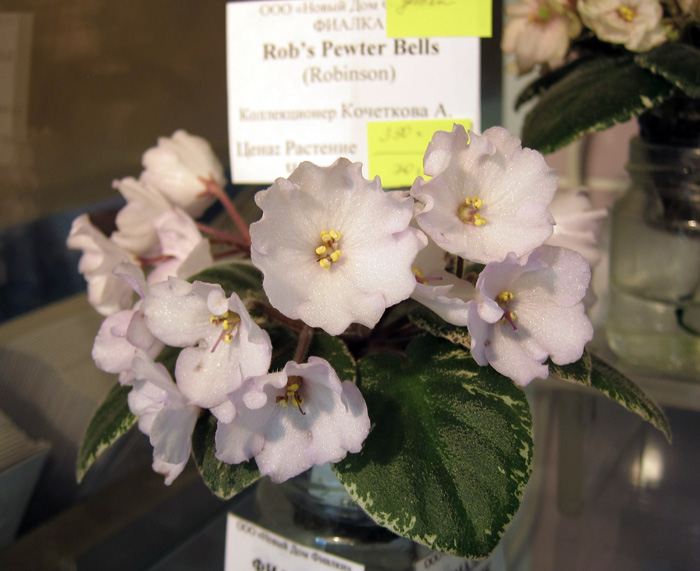 Rob's-Pewter-Bells.jpg