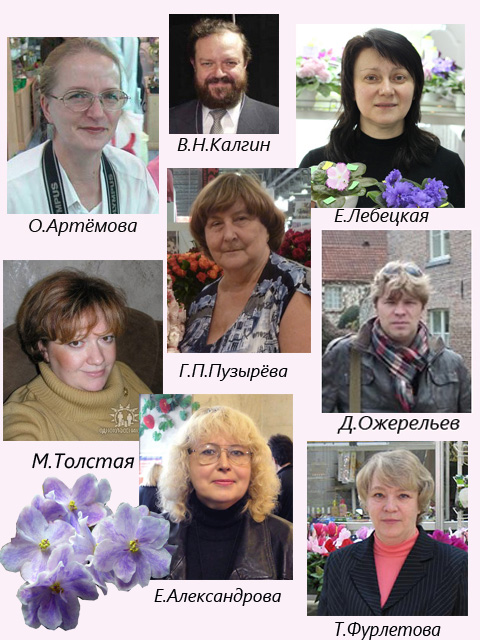 Судейская бригада 2015 дек.jpg
