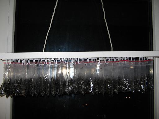 111.JPG