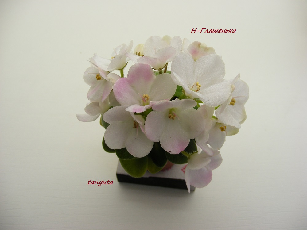 DSCF0072.JPG