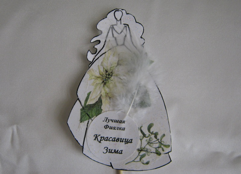 2015 декабрь 9..JPG