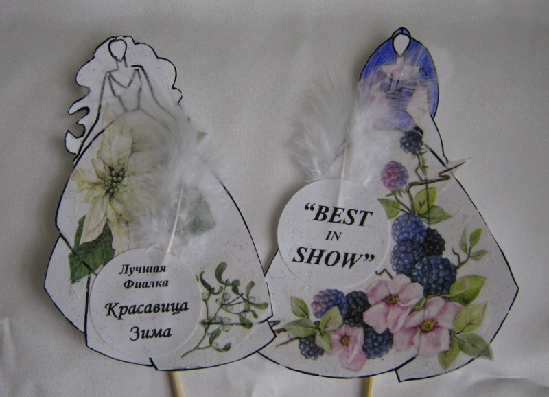 2015 декабрь 4.JPG