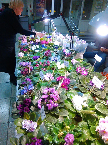IMG_20151129_093635.jpg
