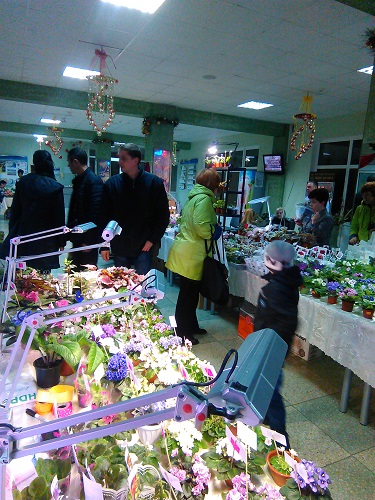 IMG_20151129_094958.jpg