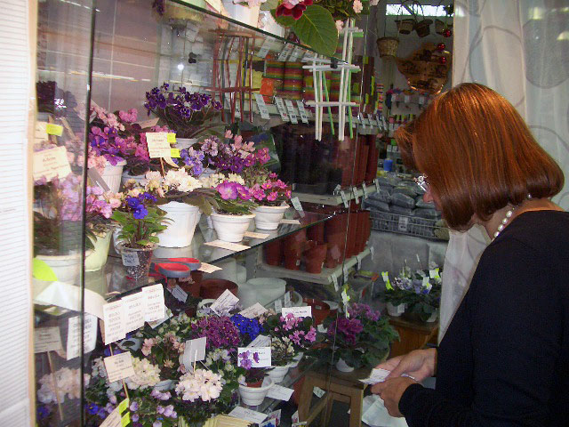 CIMG0222.JPG
