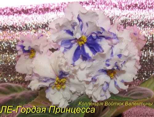 ЛЕ-Гордая Принцесса1.jpg