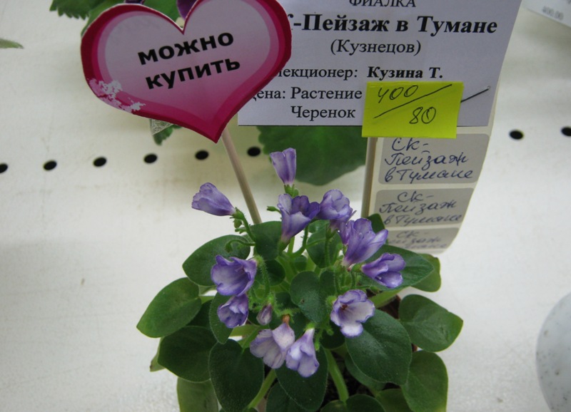 IMG_7689.JPG