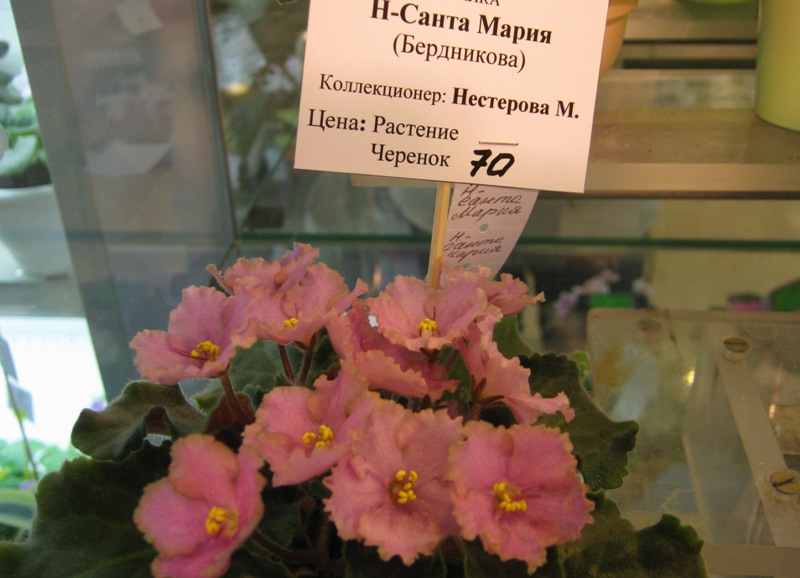 IMG_7721.JPG