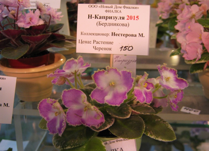 IMG_7725.JPG