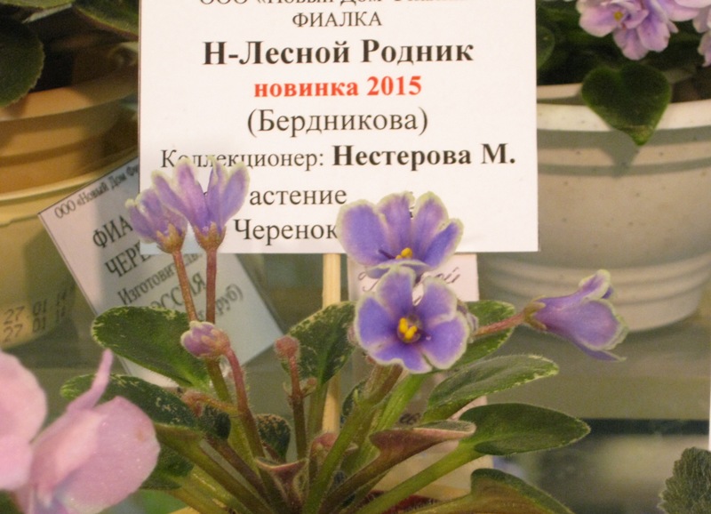 IMG_7736.JPG