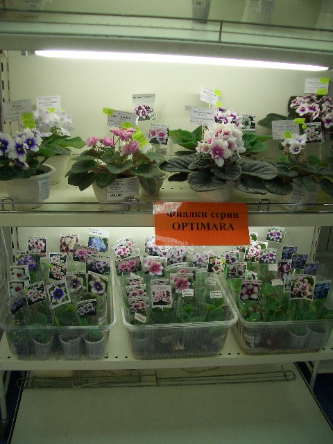 CIMG0194.JPG