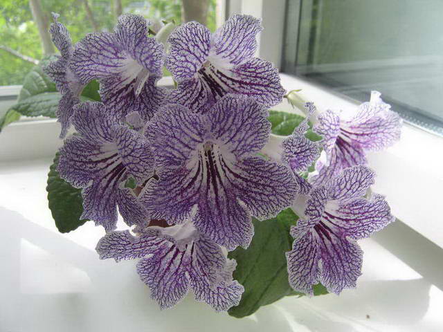 21062008 009.jpg