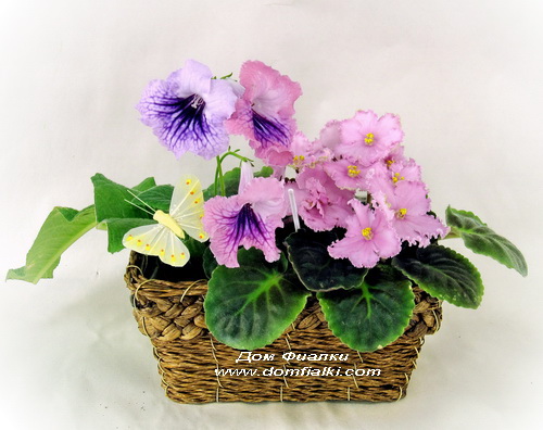 Копия IMG_7091.jpg