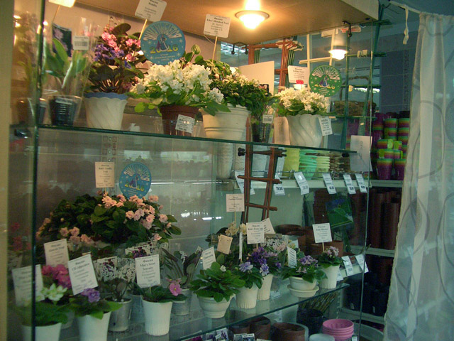CIMG0040.JPG