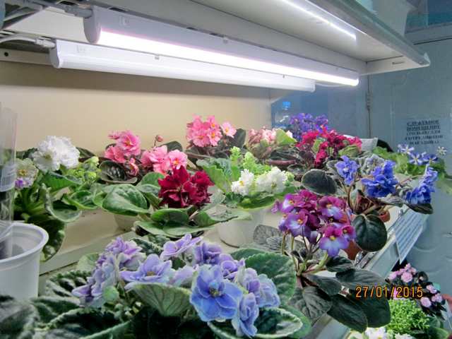 IMG_7614#001.jpg