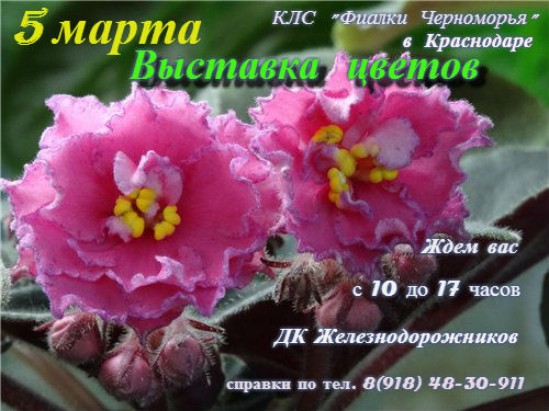 афиша.jpg