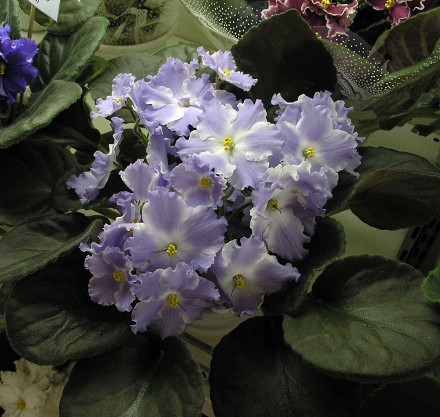 44.JPG