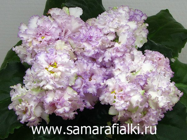 ЛЕ-Турмалиновой Колье  2016_rs.jpg