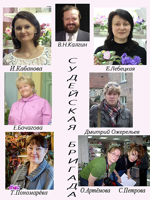 Судейская бригада 2016 февр.jpg