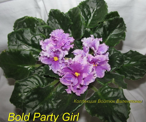 Bold Party Girl-роз1.jpg