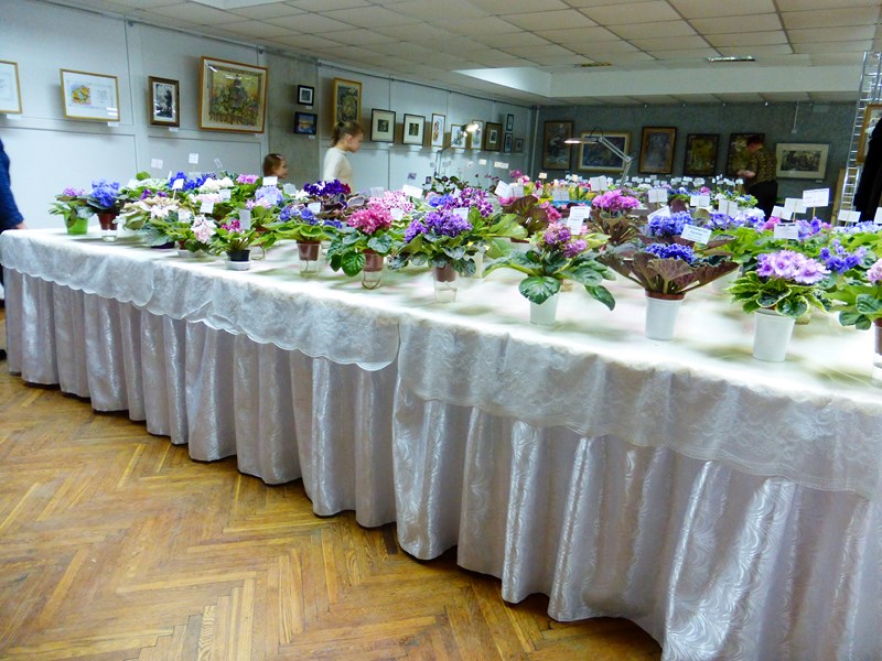 P1040440 (Copy).JPG