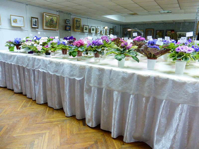 P1040439 (Copy).JPG