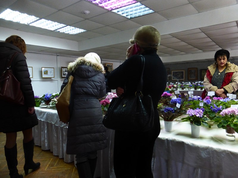 P1040291 (Copy).JPG