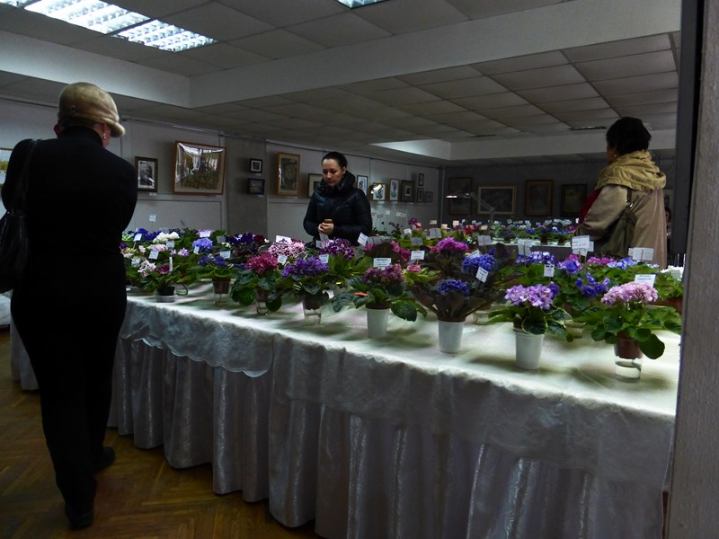 P1040292 (Copy).JPG