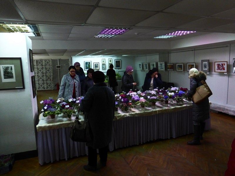 P1040293 (Copy).JPG