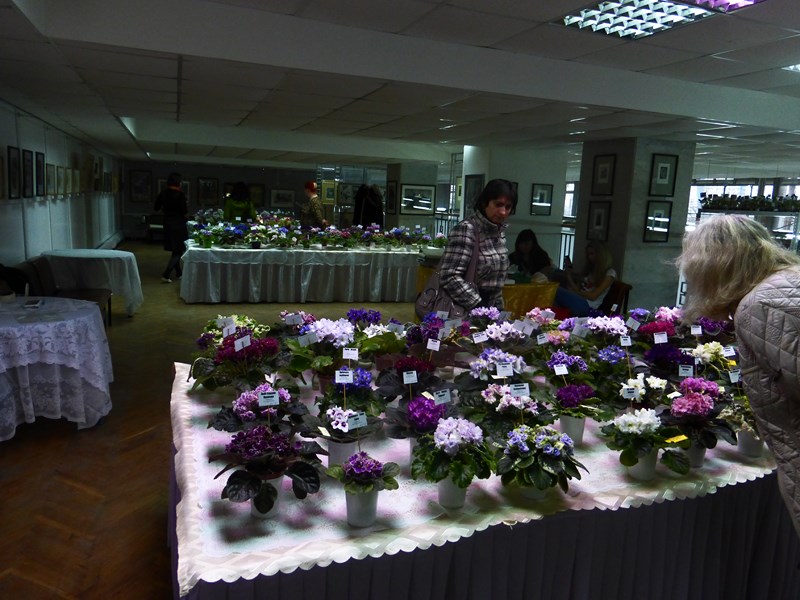 P1040297 (Copy).JPG