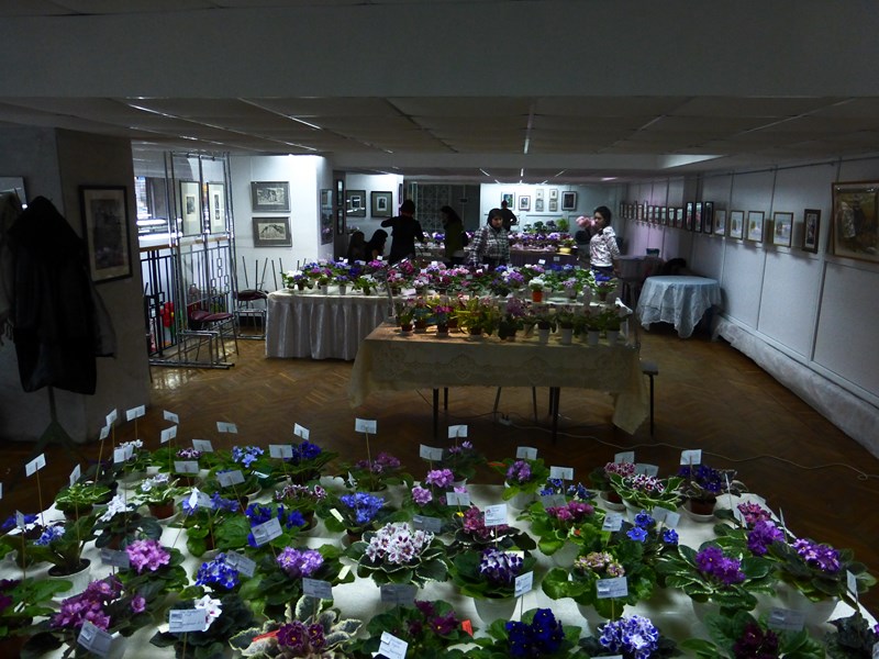 P1040301 (Copy).JPG