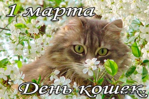 1425127777_8f25f6.jpg
