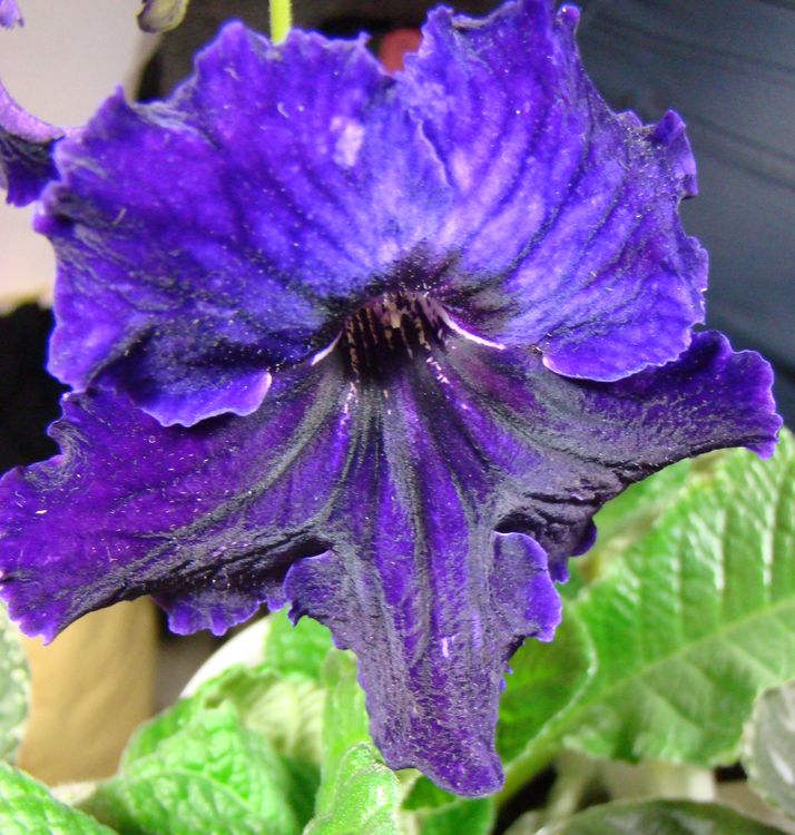 DSC00270.JPG