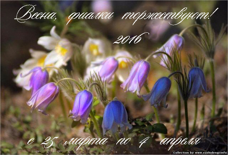 открытка.jpg