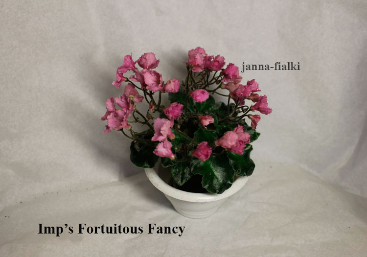Imps-Fortuitous-Fancy.jpg