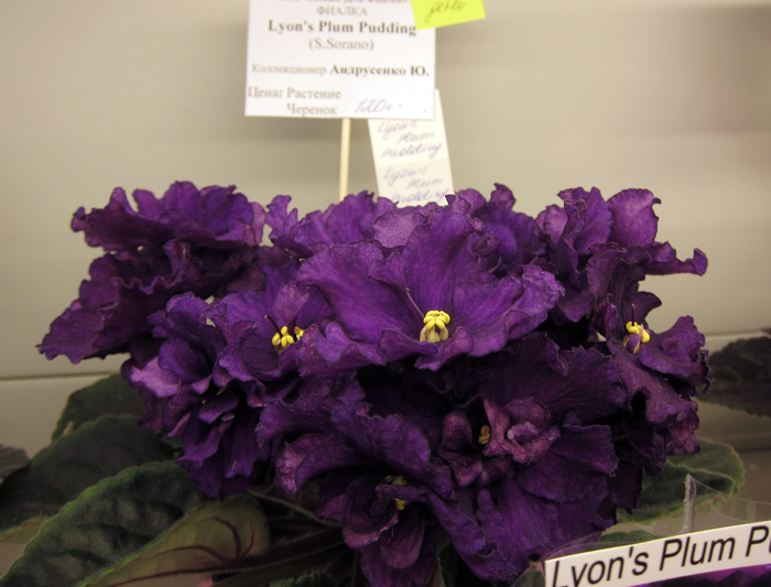 Lyon's-Plum-Pudding.jpg