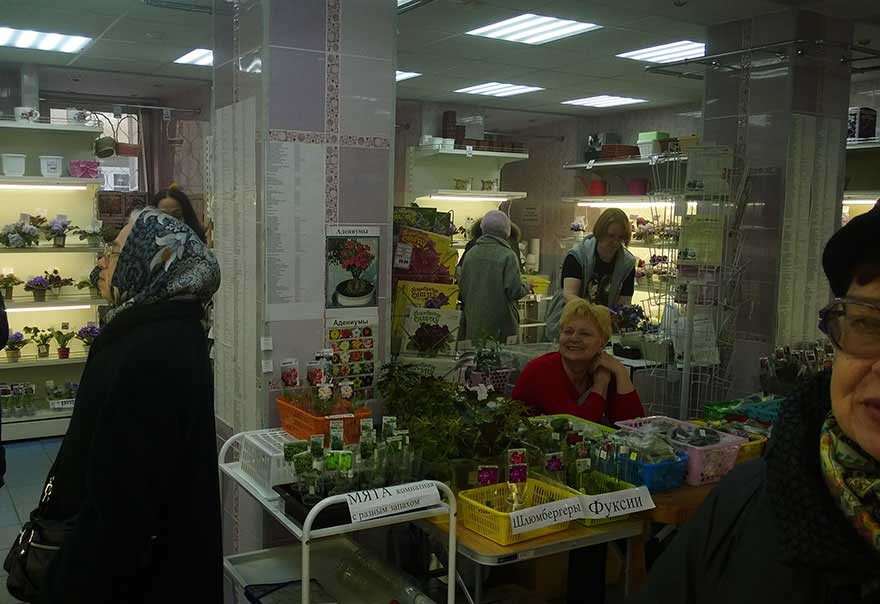 раз15.jpg