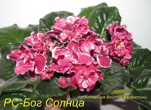 РС-Бог Солнца1.jpg