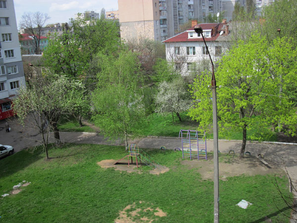 IMG_6817.jpg