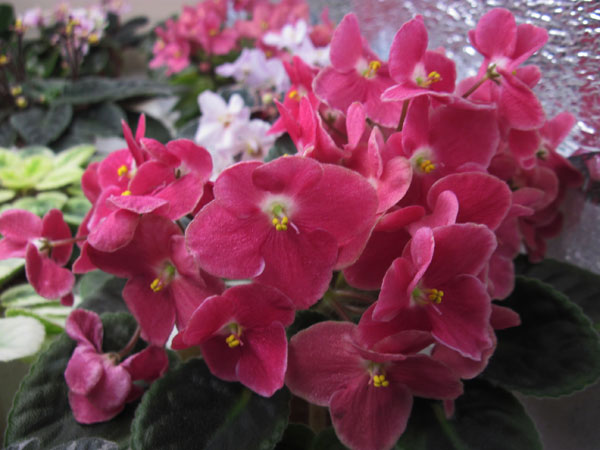 IMG_6573.jpg