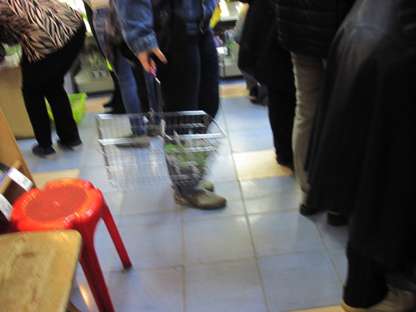 IMG_6798.jpg