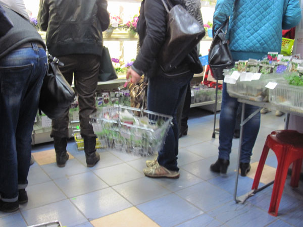 IMG_6811.jpg
