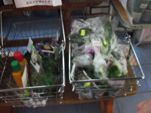 IMG_6816.jpg