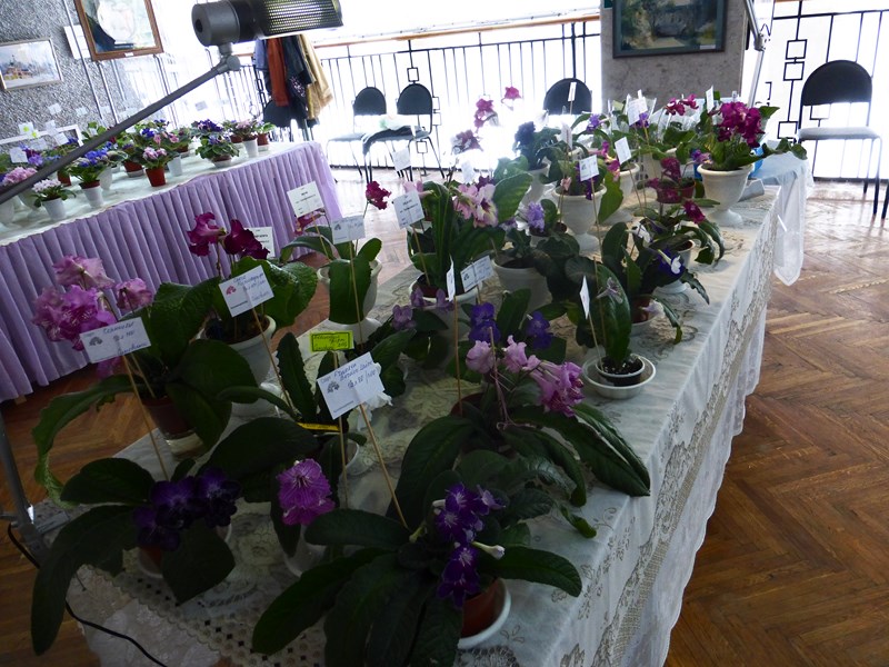 P1040890 (Copy).JPG