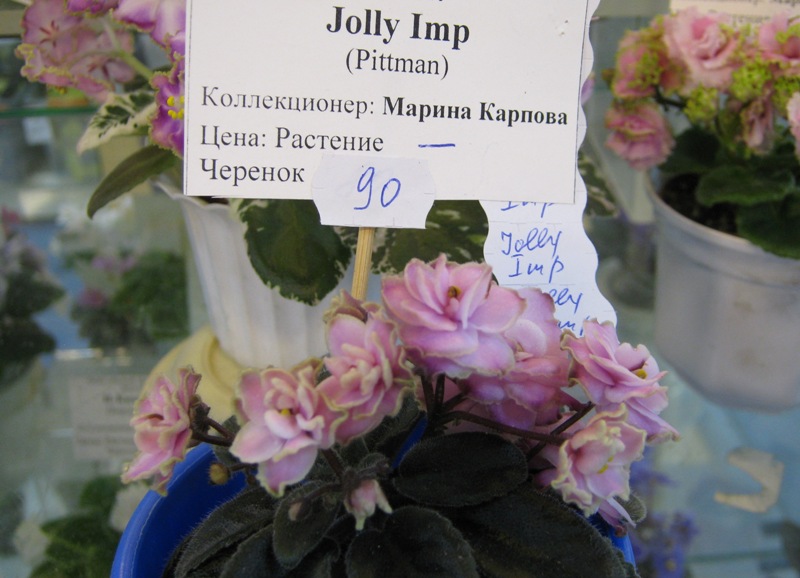 IMG_0357.JPG