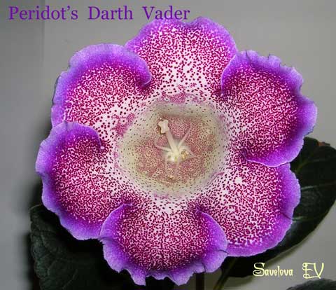 peridots_darth_vader.jpg