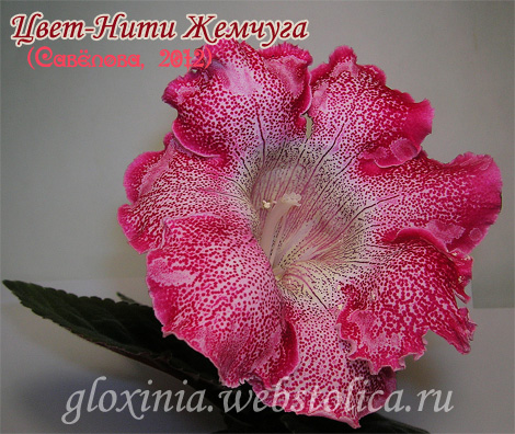 Цвет-Нити-Жемчуга-470pi.jpg