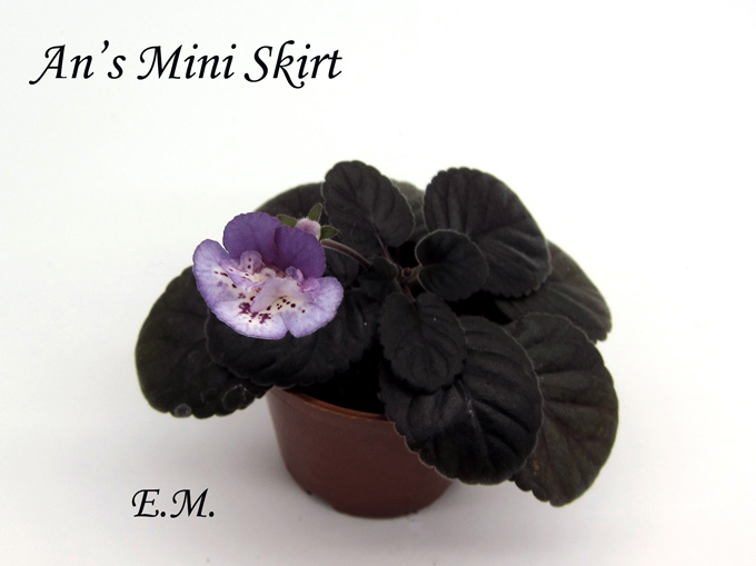 An's-Mini-Skirt.jpg