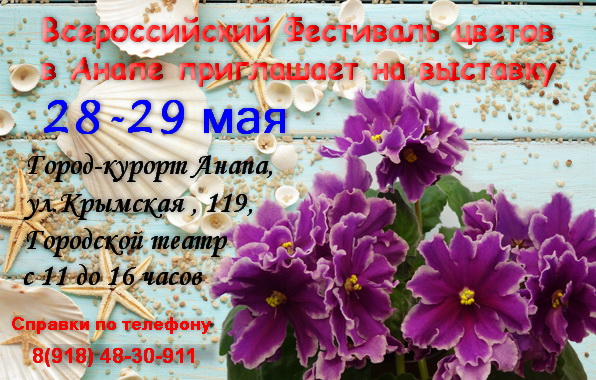 Фестиваль 16.jpg