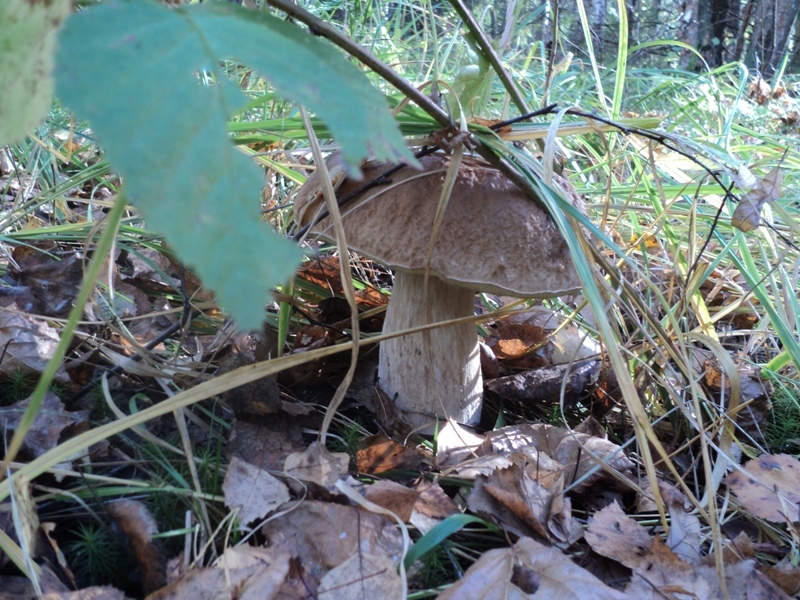 DSC09262.JPG